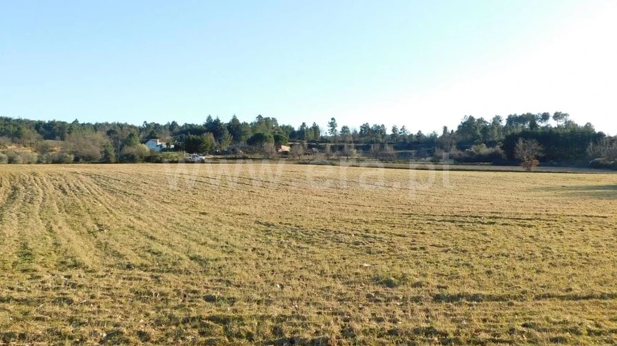 Terreno para Venda em Caria