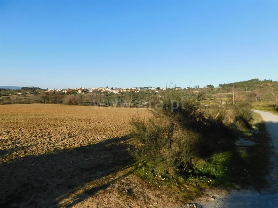 Terreno para Venda em Caria Foto 3