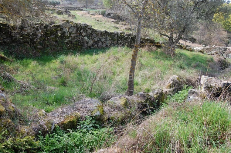 Moradia T1 para Venda em Inguias Foto 5