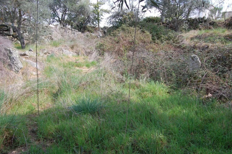 Moradia T1 para Venda em Inguias Foto 3