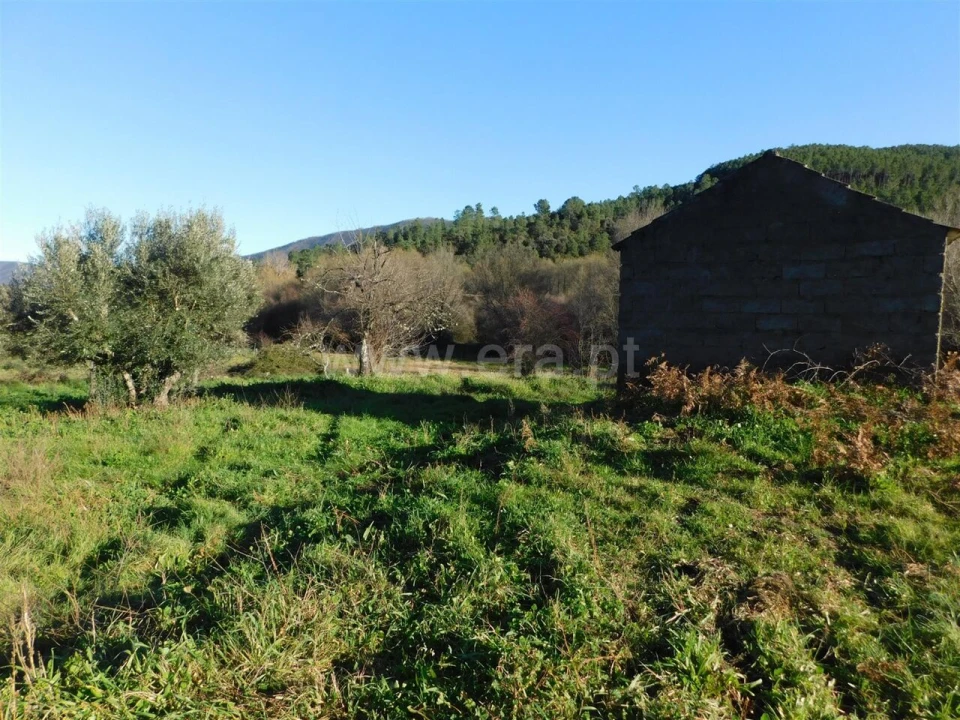 Terreno para Venda em Verdelhos Foto 3