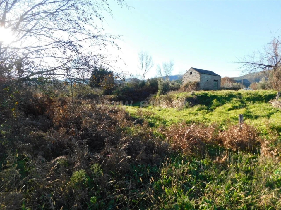 Terreno para Venda em Verdelhos Foto 8