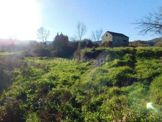 Terreno para Venda em Verdelhos Foto 9