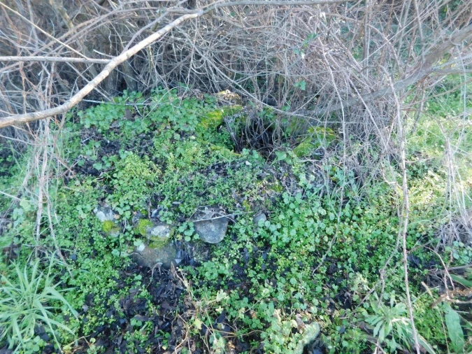 Terreno para Venda em Verdelhos Foto 6
