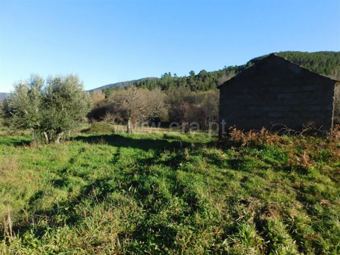 Terreno para Venda em Verdelhos Foto 3