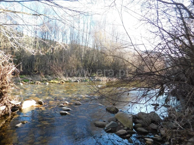 Terreno para Venda em Verdelhos Foto 2