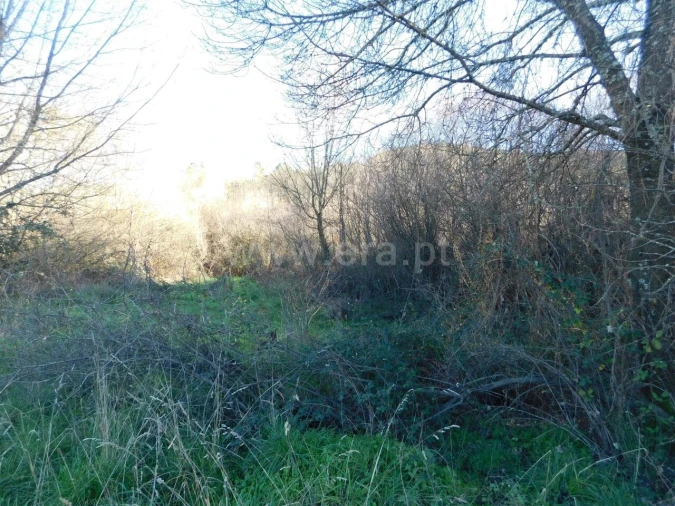 Terreno para Venda em Verdelhos Foto 4