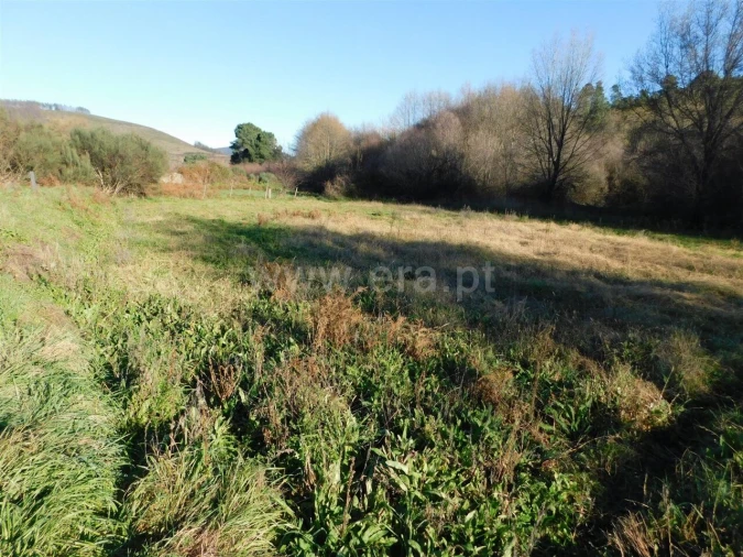 Terreno para Venda em Verdelhos Foto 7