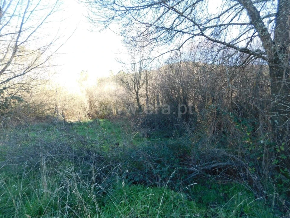 Terreno para Venda em Verdelhos Foto 4
