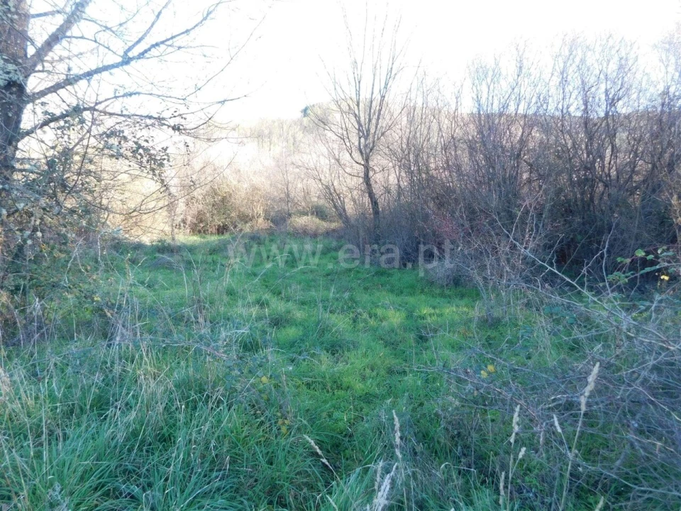Terreno para Venda em Verdelhos Foto 5