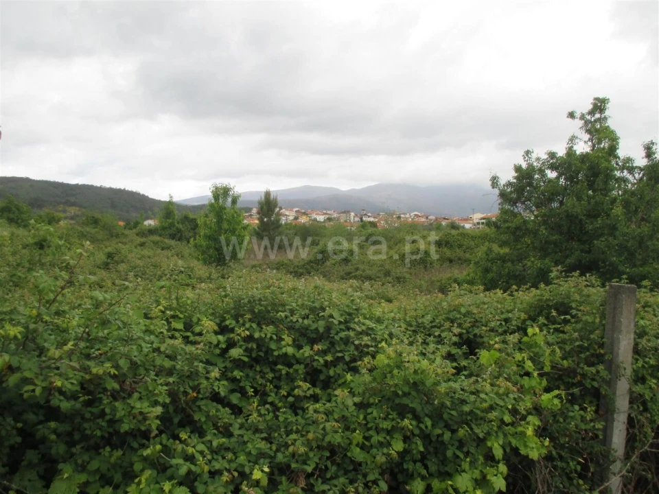 Terreno para Venda em Paul Foto 4