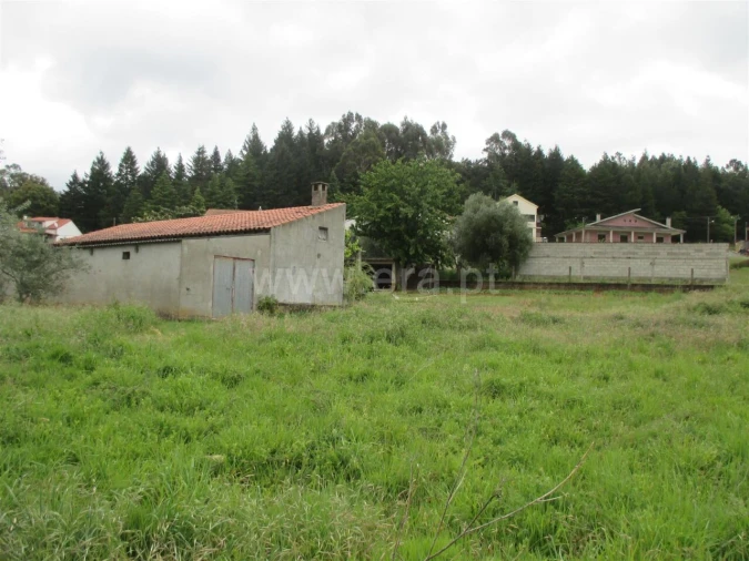 Terreno para Venda em Paul Foto 5