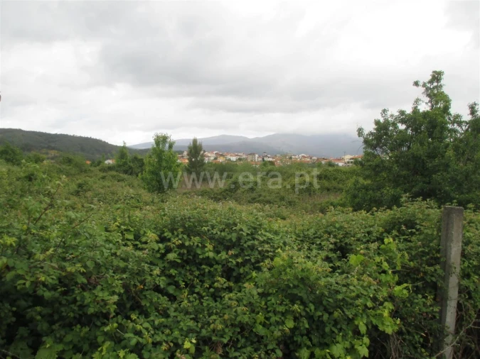 Terreno para Venda em Paul Foto 4