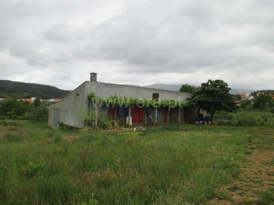 Terreno para Venda em Paul Foto 6