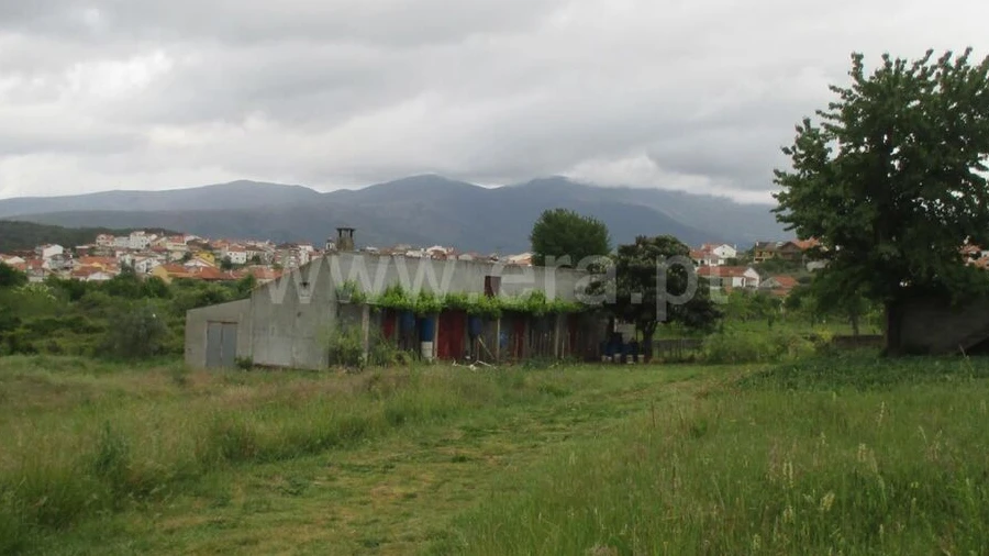 Terreno para Venda em Paul