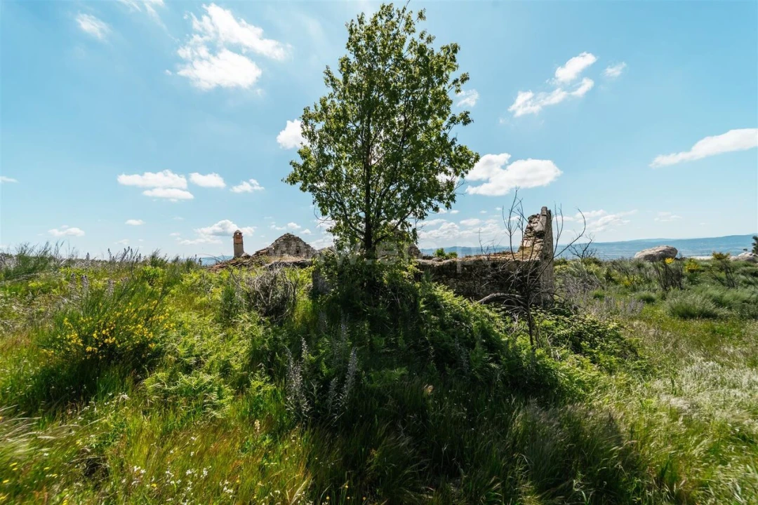 Quinta T3 para Venda em Orjais Foto 6