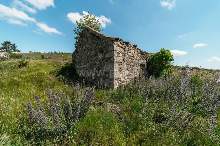 Quinta T3 para Venda em Orjais