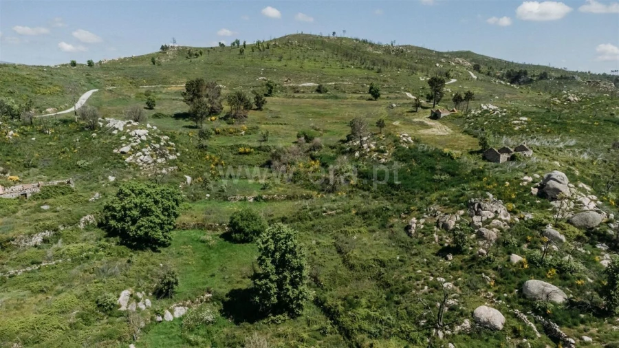 Quinta T3 para Venda em Orjais Foto 4