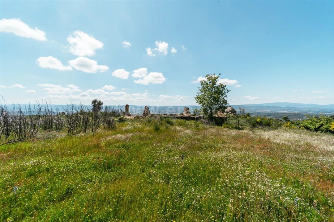 Quinta T3 para Venda em Orjais Foto 7