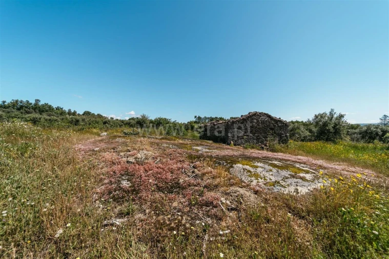 Quinta T0 para Venda em Peraboa Foto 18