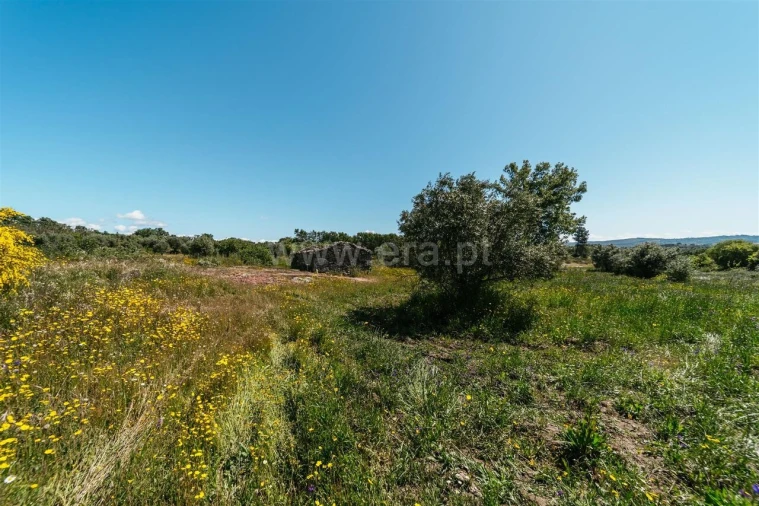 Quinta T0 para Venda em Peraboa Foto 17