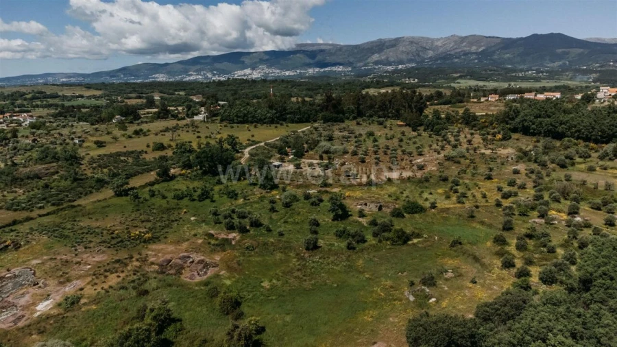 Quinta T0 para Venda em Peraboa Foto 9