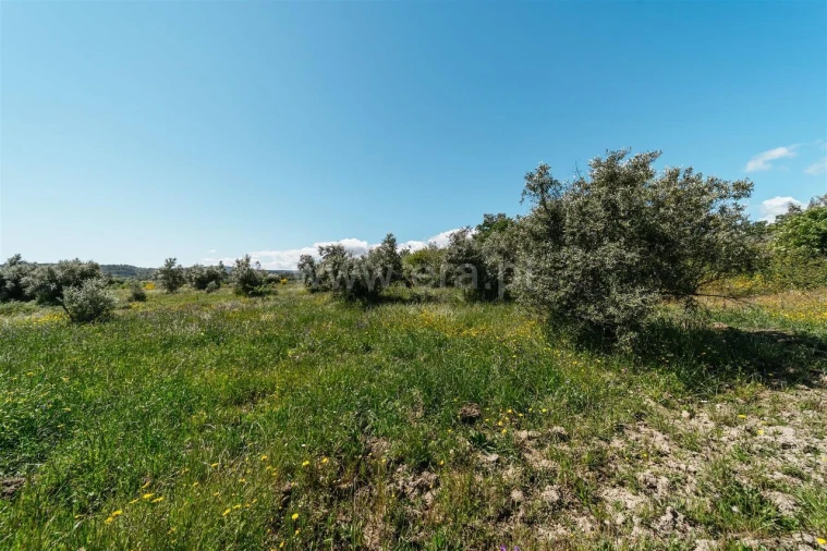 Quinta T0 para Venda em Peraboa Foto 20