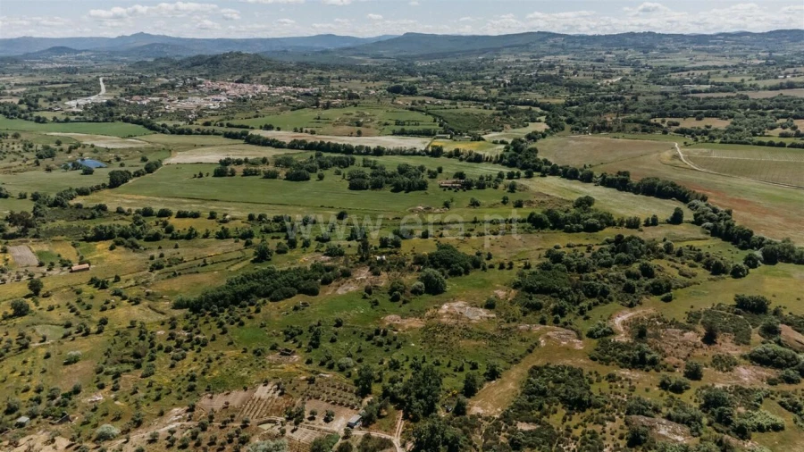 Quinta T0 para Venda em Peraboa Foto 4