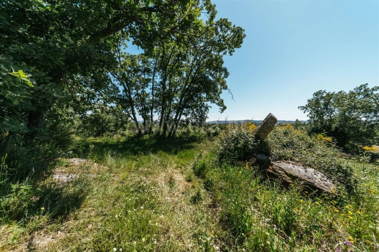 Quinta T0 para Venda em Peraboa Foto 13