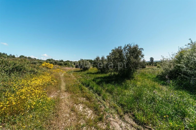 Quinta T0 para Venda em Peraboa Foto 16