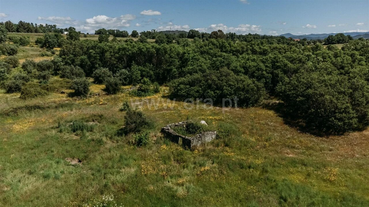 Quinta T0 para Venda em Peraboa Foto 11