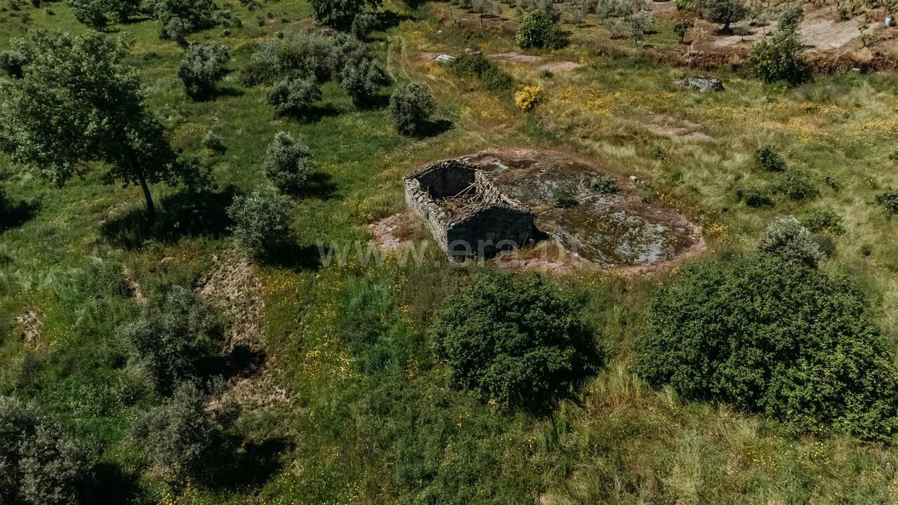 Quinta T0 para Venda em Peraboa Foto 1