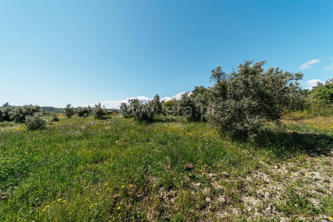 Quinta T0 para Venda em Peraboa Foto 20