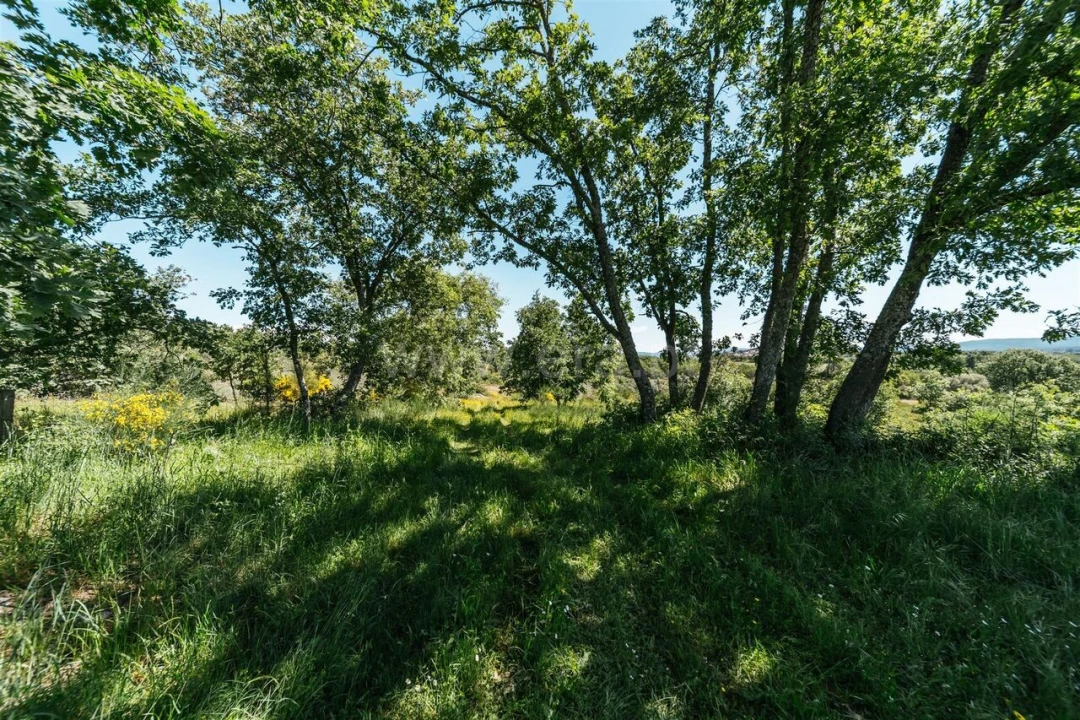 Quinta T0 para Venda em Peraboa Foto 14