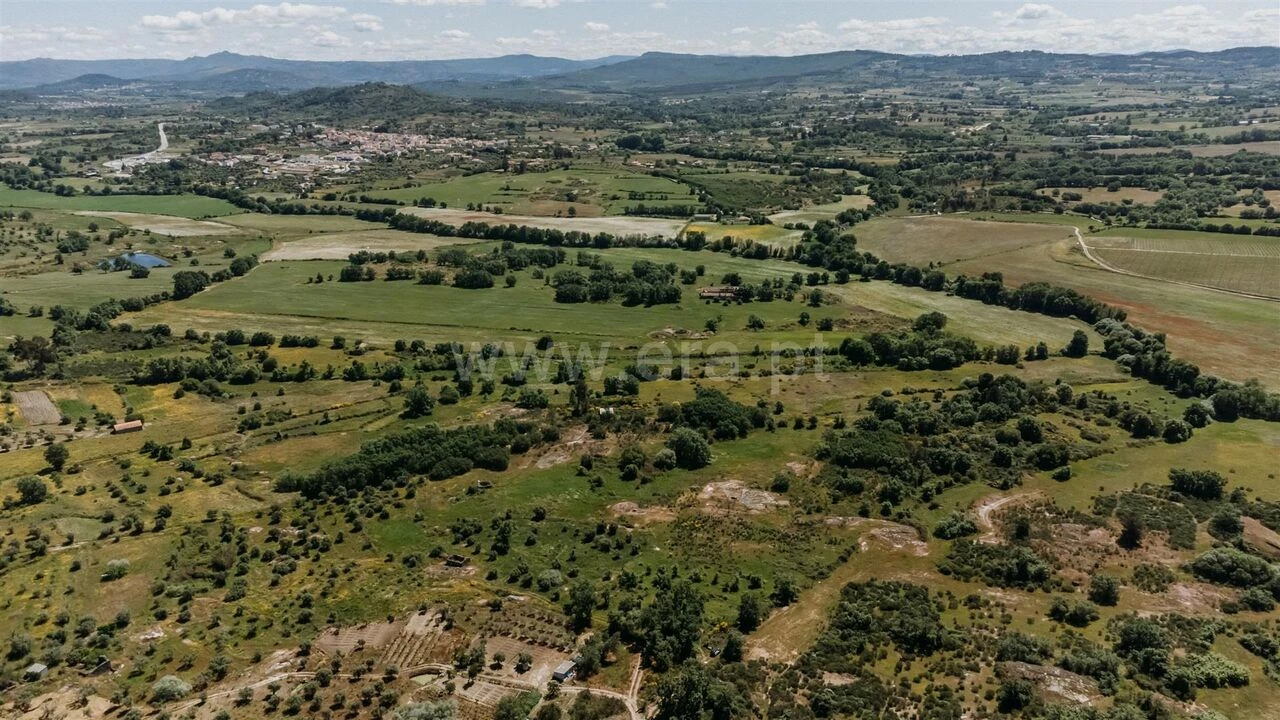 Quinta T0 para Venda em Peraboa Foto 4
