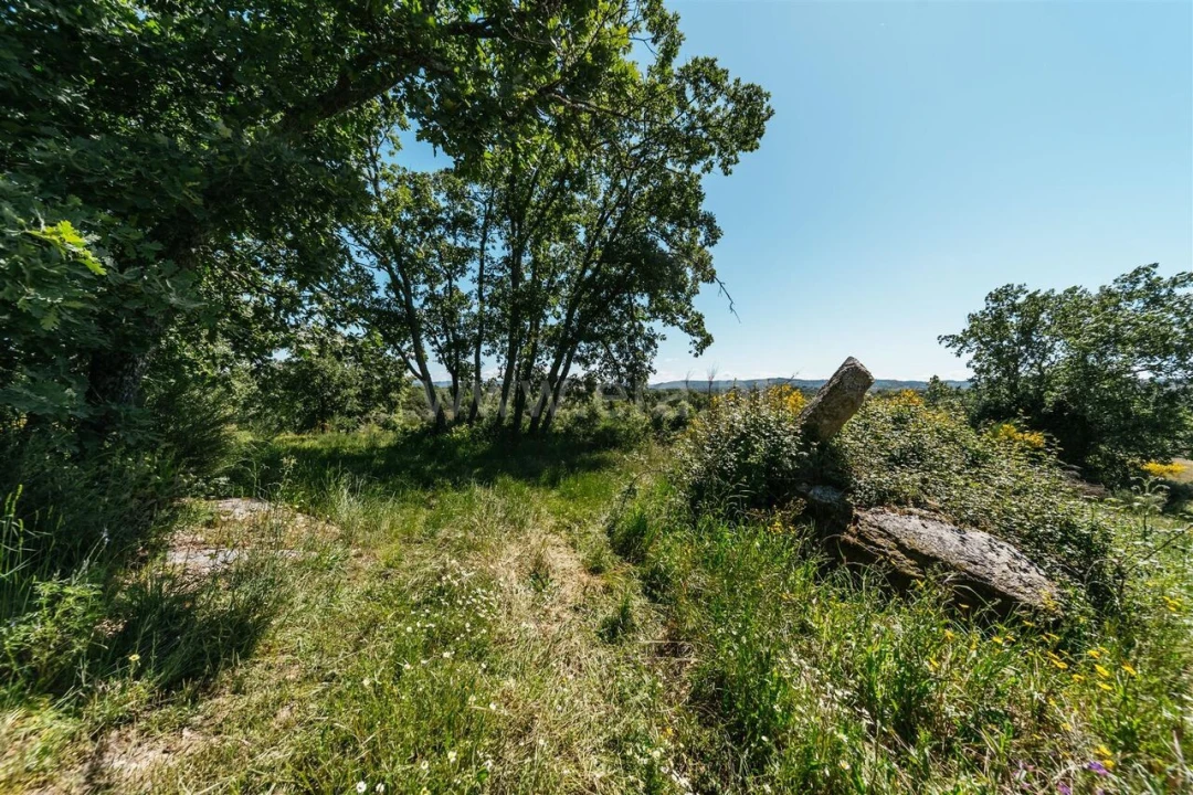 Quinta T0 para Venda em Peraboa Foto 13