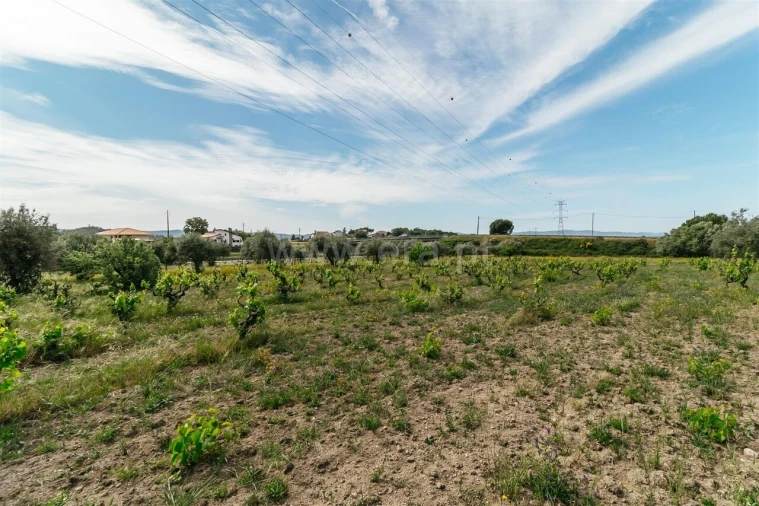 Quinta T2 para Venda em Belmonte e Colmeal da Torre Foto 16