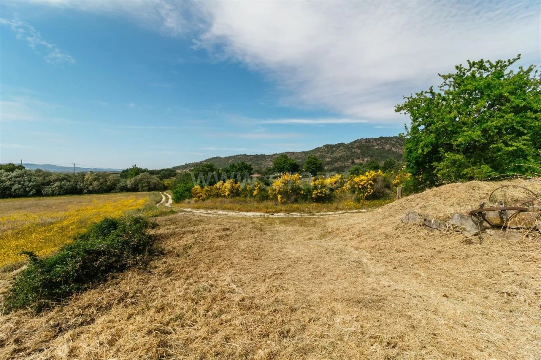 Quinta T2 para Venda em Belmonte e Colmeal da Torre Foto 18