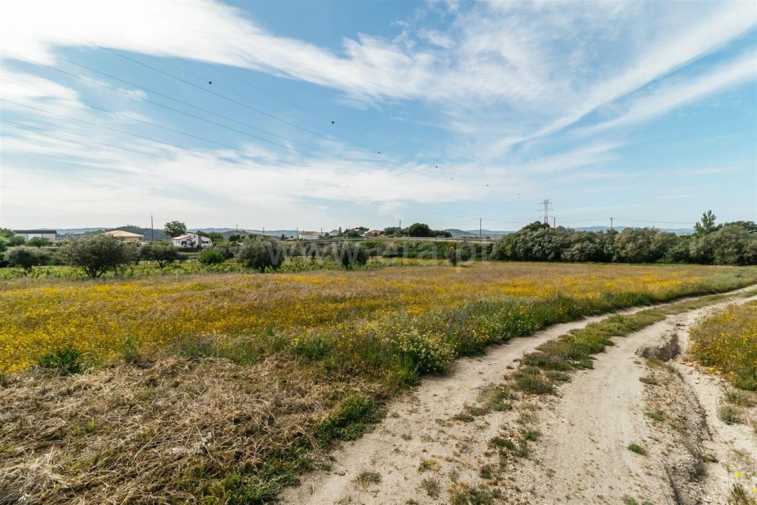 Quinta T2 para Venda em Belmonte e Colmeal da Torre Foto 8