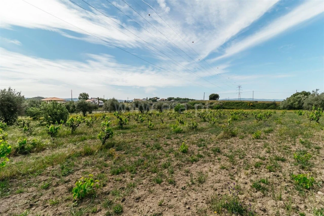 Quinta T2 para Venda em Belmonte e Colmeal da Torre Foto 16