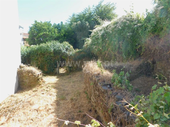 Terreno para Venda em Tortosendo Foto 3