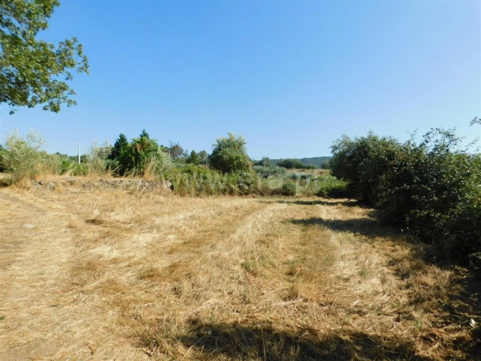 Quinta T0 para Venda em Peraboa Foto 4