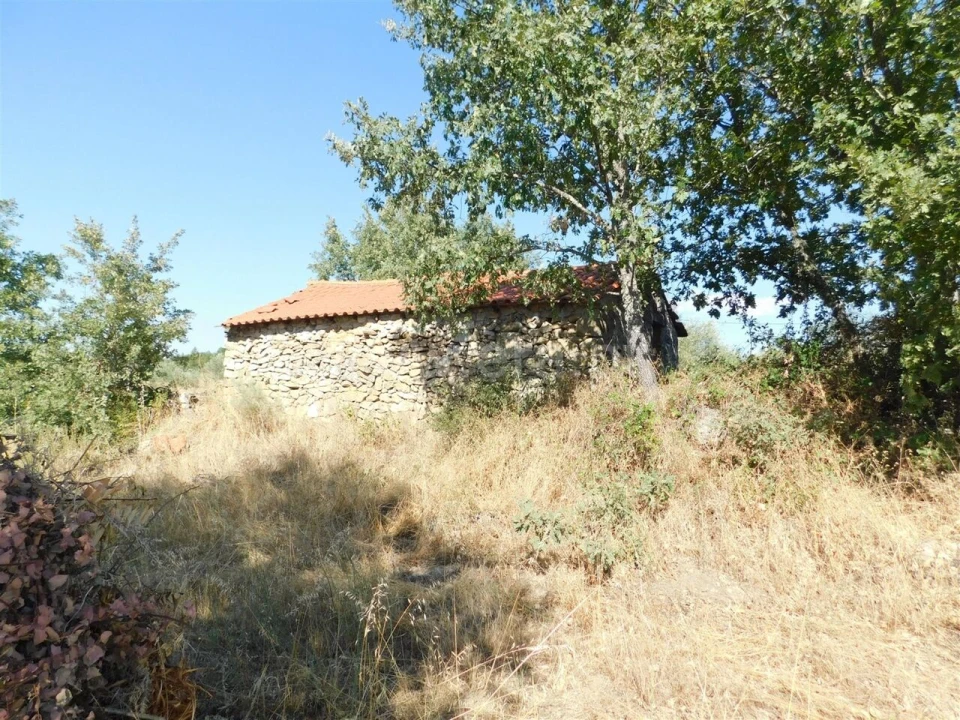 Quinta T0 para Venda em Peraboa Foto 5