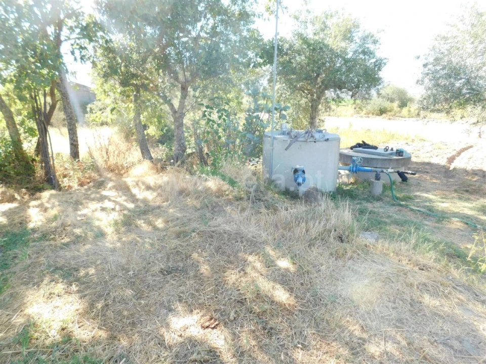 Quinta T0 para Venda em Peraboa Foto 10