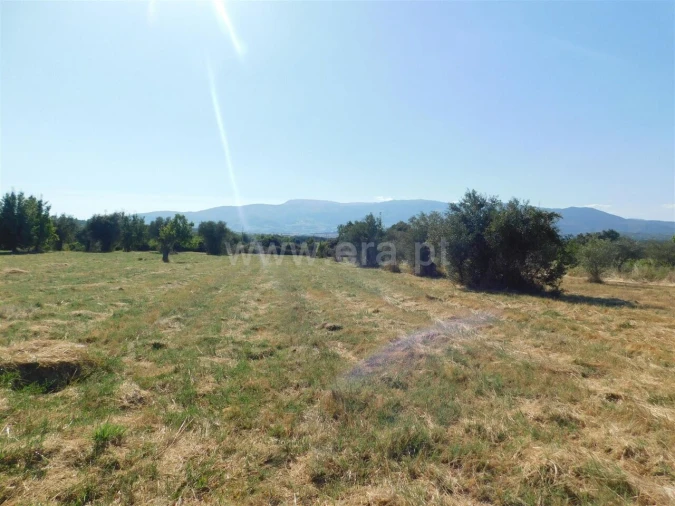 Quinta T0 para Venda em Peraboa Foto 7