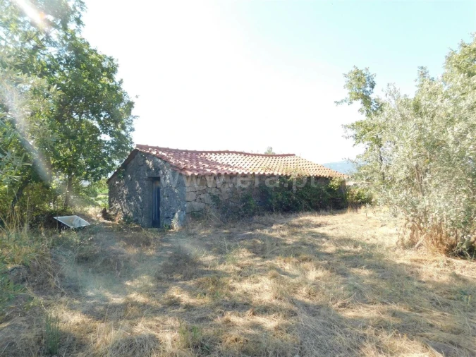 Quinta T0 para Venda em Peraboa Foto 2