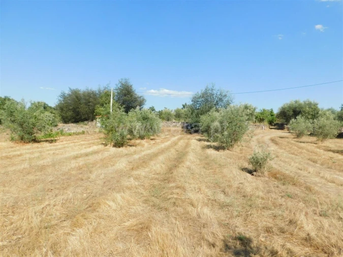 Quinta T0 para Venda em Peraboa Foto 3