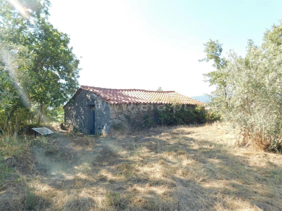Quinta T0 para Venda em Peraboa Foto 2