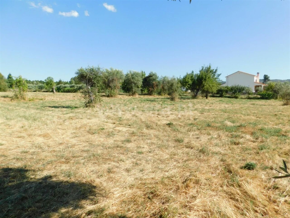 Quinta T0 para Venda em Peraboa Foto 12