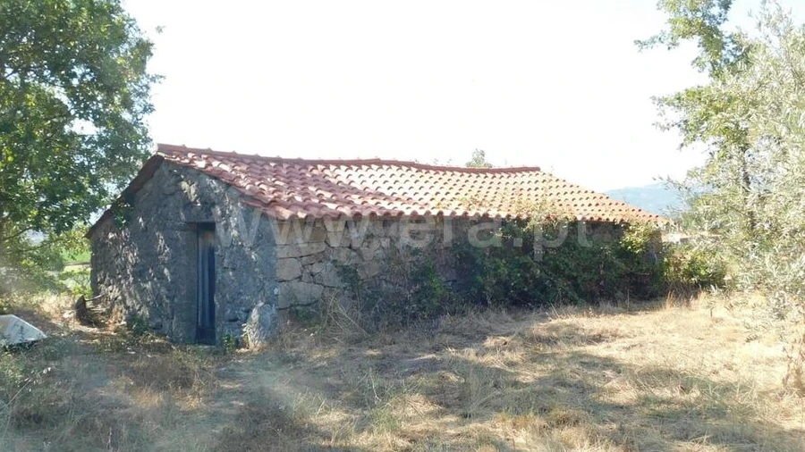 Quinta T0 para Venda em Peraboa